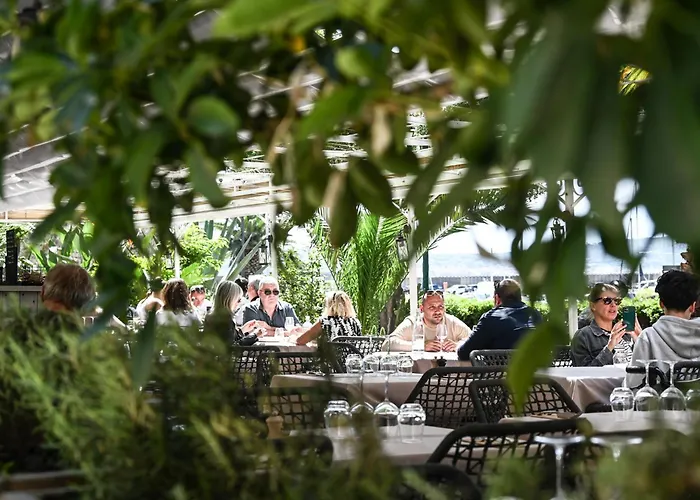 Les Palmiers Sainte-Maxime
