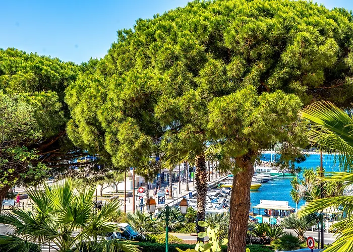 Les Palmiers Hotel Sainte-Maxime