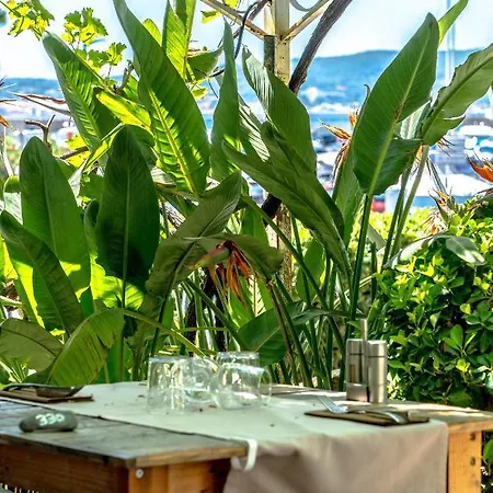 Les Palmiers Szálloda Sainte-Maxime