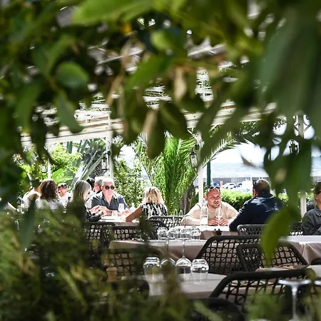 Les Palmiers سانت ماكسيم