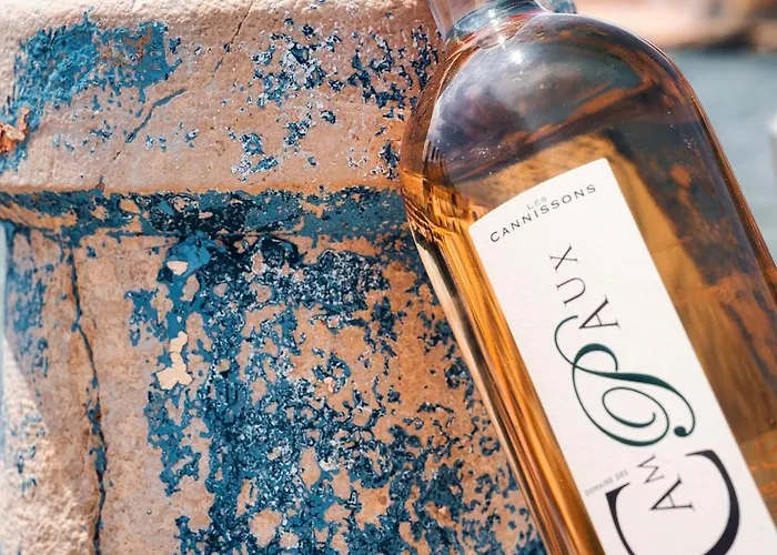 帕米尔酒店 圣马克西姆