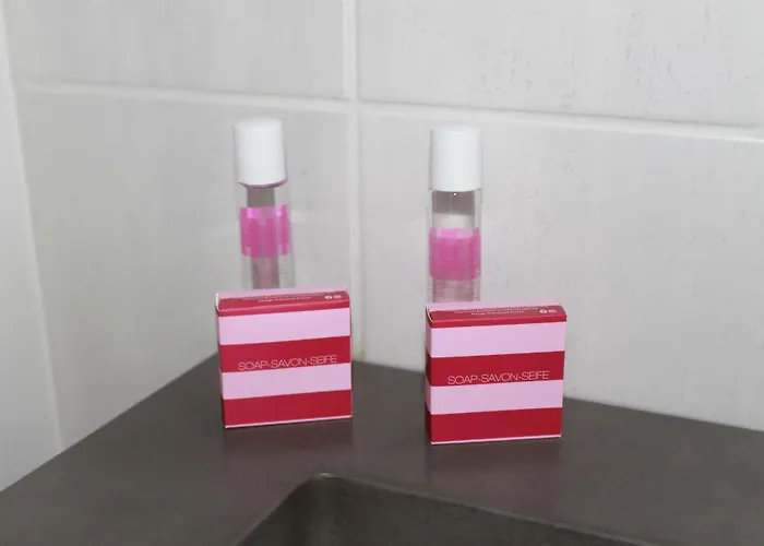 帕米尔酒店 酒店 3*