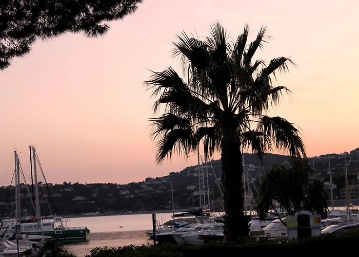 Les Palmiers 3* Sainte-Maxime